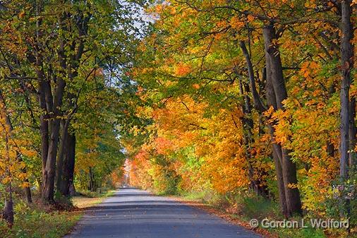 Autumn Road_23322.jpg - Photographed at Rideau Lakes, Ontario, Canada.